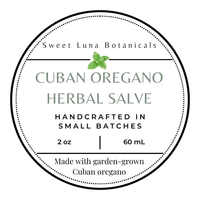 Cuban Oregano Herbal Salve