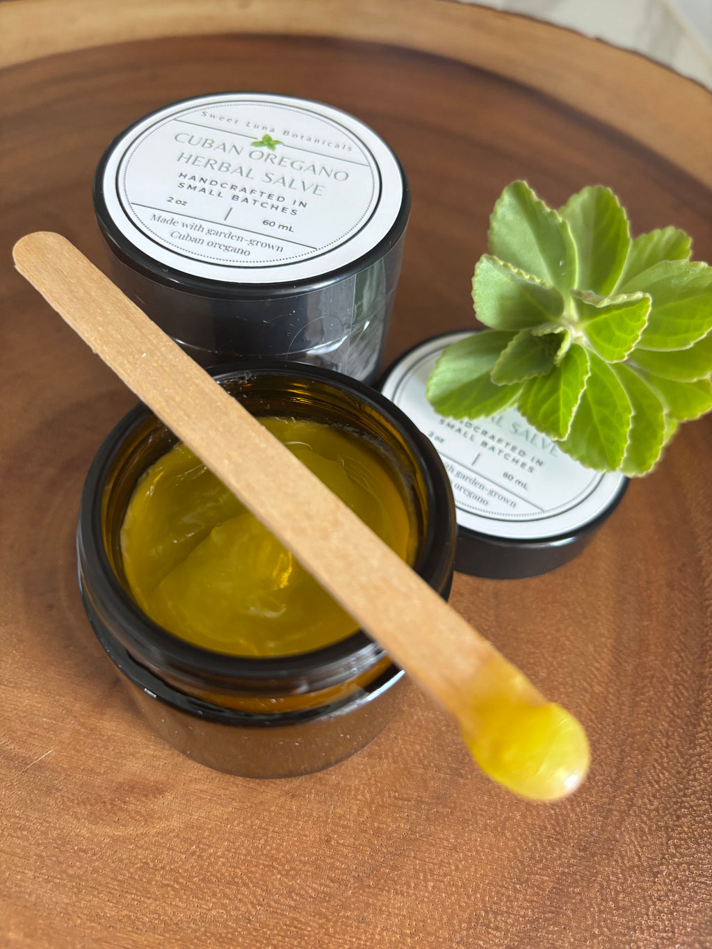 Cuban Oregano Herbal Salve